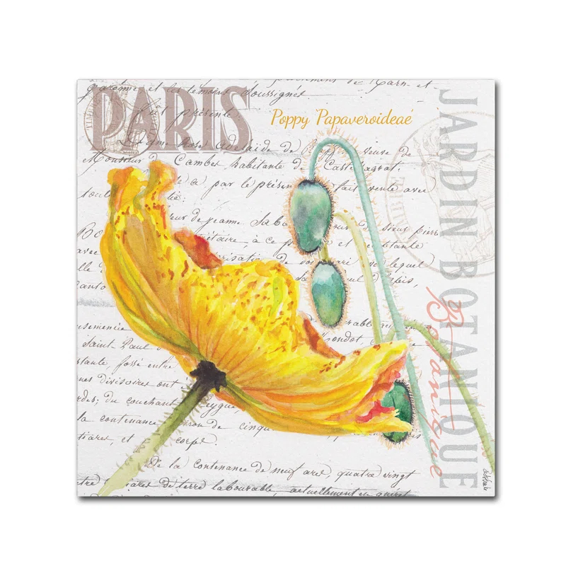 Trademark Fine Art " Paris Botanique Yellow Poppy " by Jennifer Redstreake
