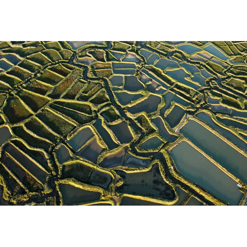 Marmont Hill " Waterways " by Karolis Janulis