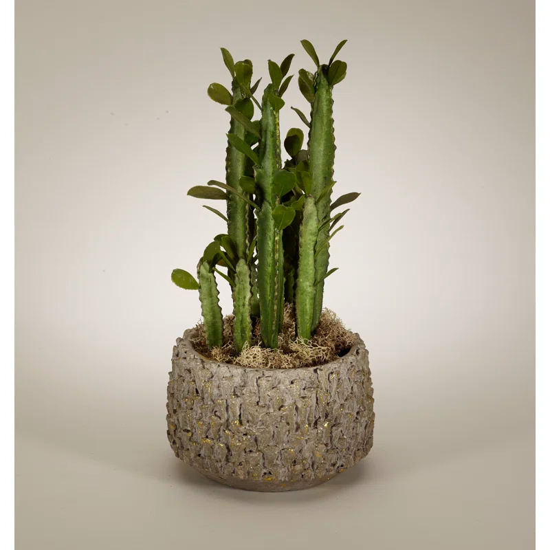 T&C Floral Company 17'' Faux Cactus Plant in Clay Pot