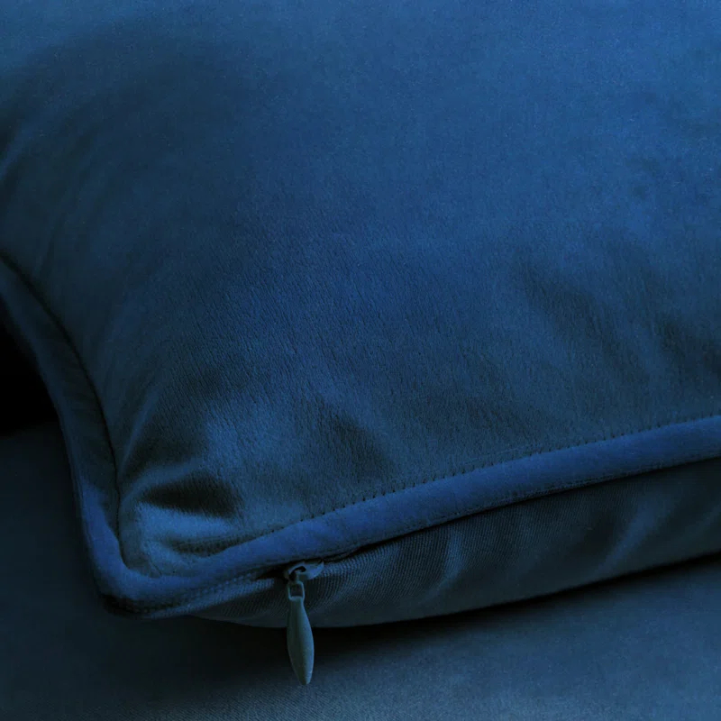 A1 Home Collections LLC Velvet Pillow Cover (Set of 2)