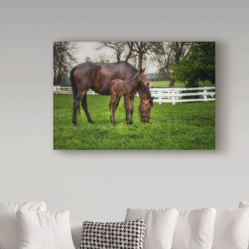Trademark Fine Art Galloimages Online " Mare And Foal Together " by Galloimages Online