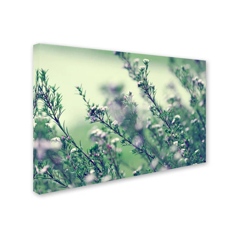 Trademark Fine Art " Memories Of Summer " by Beata Czyzowska Young