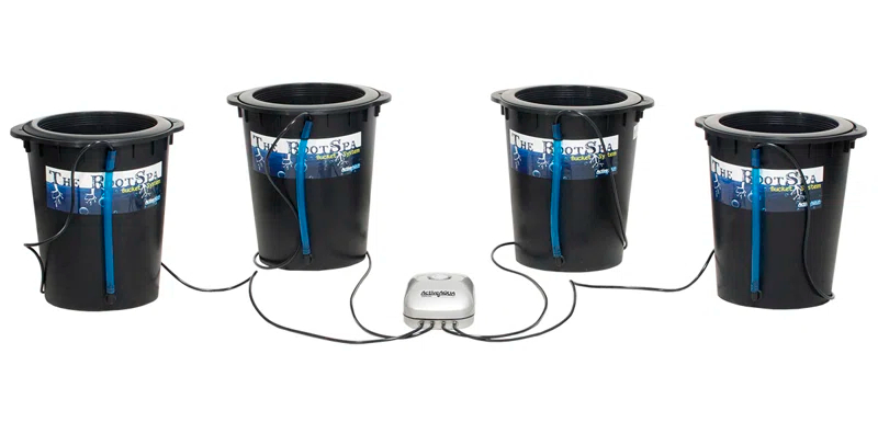 Active Aqua Active Aqua Root SpaGallon Bucket Deep Water Culture System