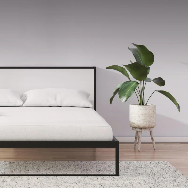 Signature Sleep Align 12'' Memory Foam Mattress
