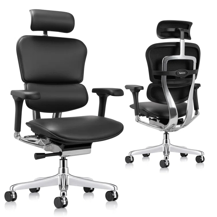 Eurotech Seating Ergohuman Executive Chair with Headrest