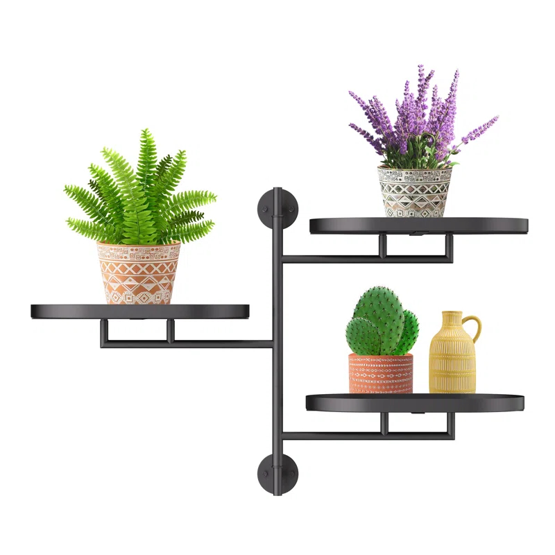 Williston Forge Window Sill Rotating Plant Stand Shelf Indoor Black Metal Floating Shelves 3-Tier Wall Mount Plant Holders