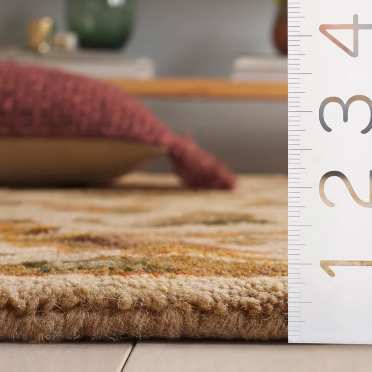 Safavieh Oval 4'6" x 6'6"