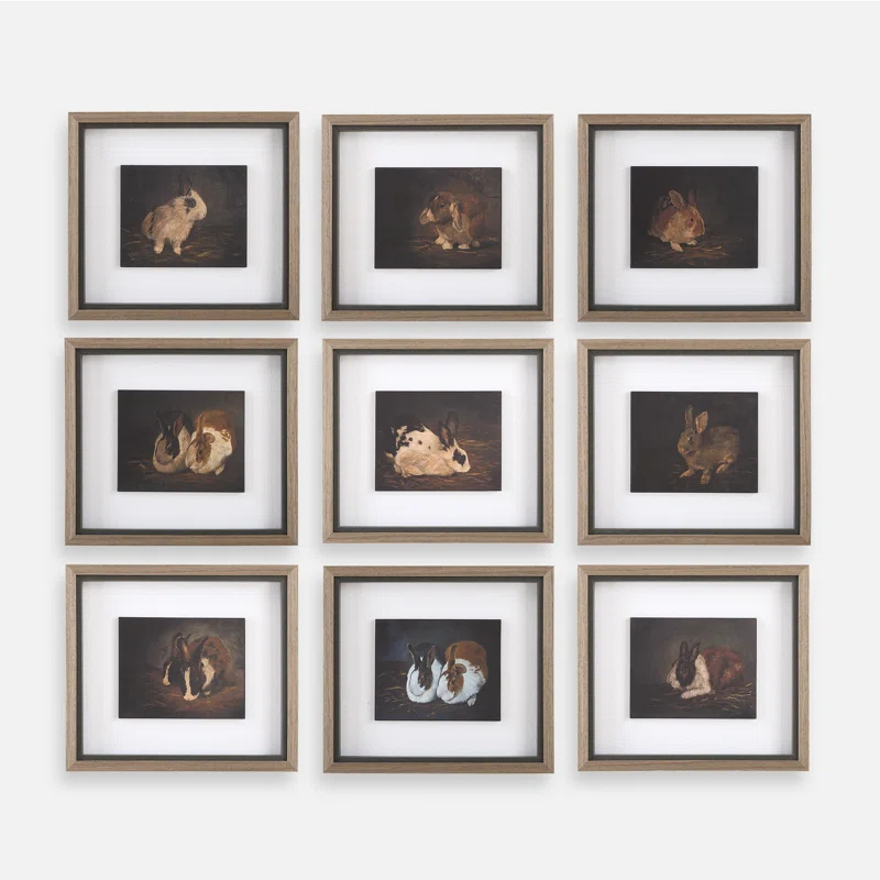 Uttermost Uttermost Resting Bunny Framed Prints