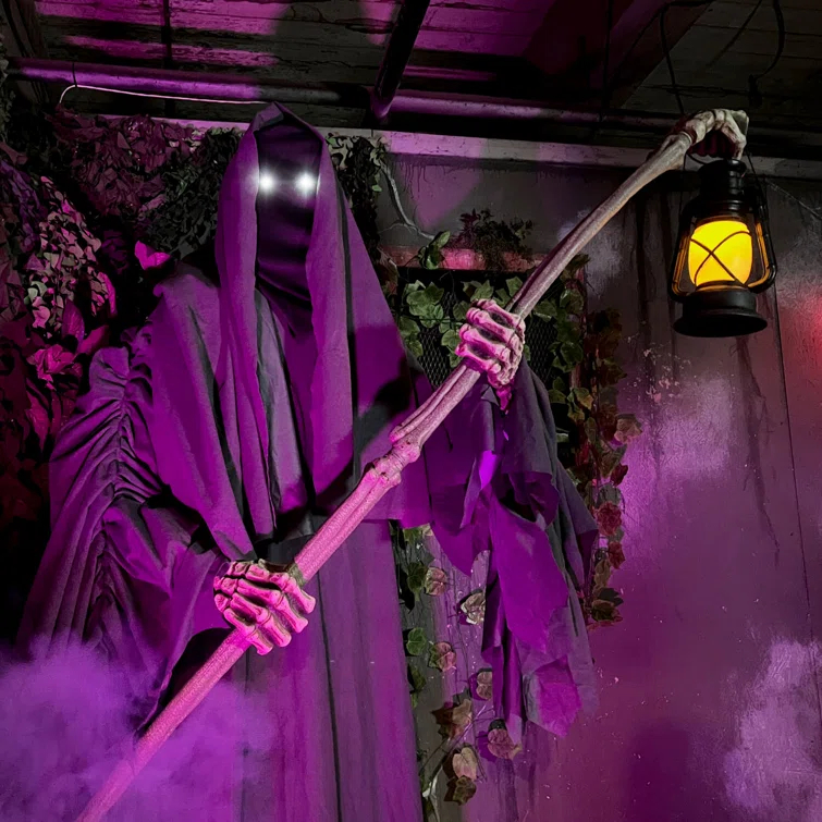 Haunted Hill Farm 6-Ft. Tall Motion-Activated Ghostly Guide Premium Talking Halloween Animatronic & Reviews | Wayfair