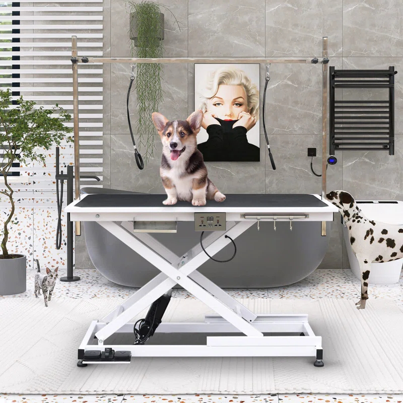 SoarFlash 36'' H x 49.6'' W x 26'' D Metal Adjustable Dog Electric Grooming Table