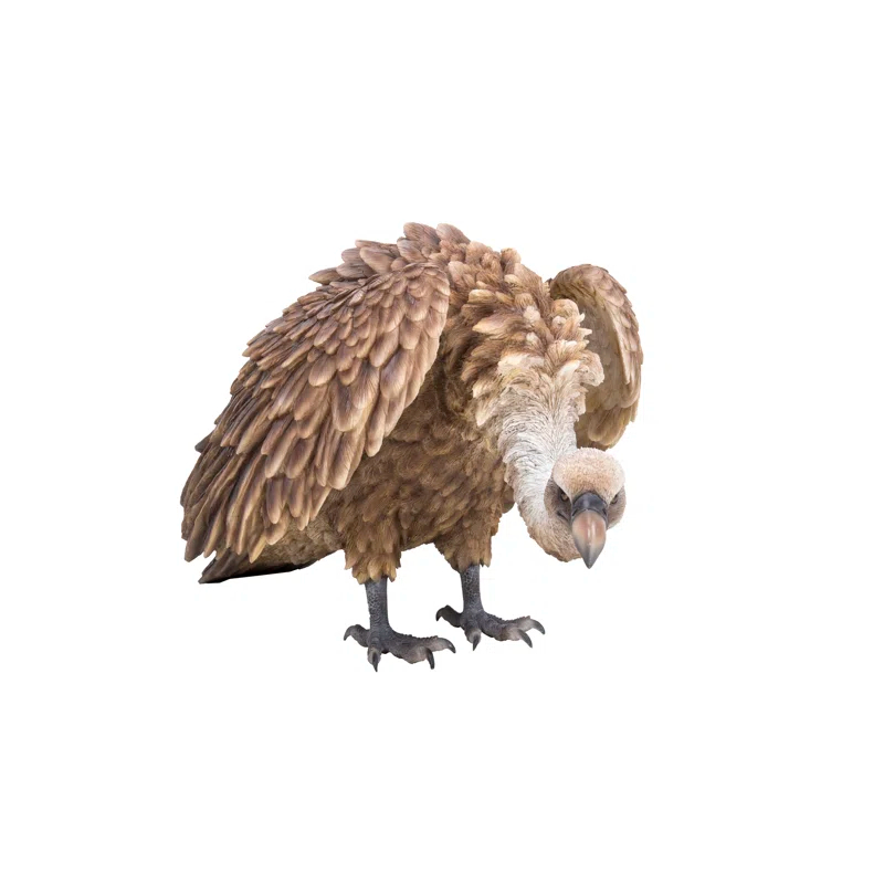 Hi-Line Gift Ltd. Medium Vulture