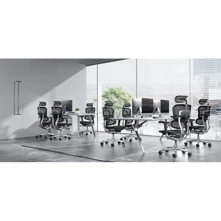 Eurotech Seating Ergohuman Executive Chair with Headrest