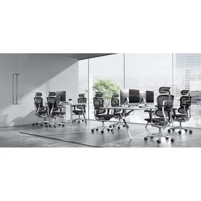 Eurotech Seating Ergohuman Executive Chair with Headrest