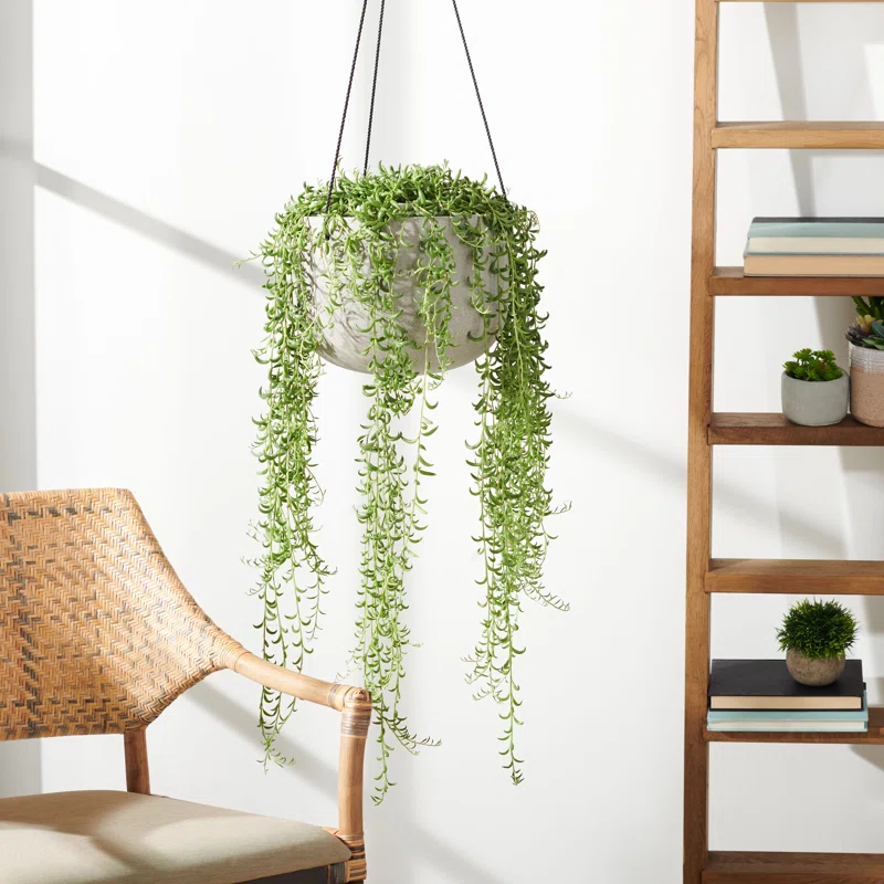 AllModern McGrath Hanging Planter