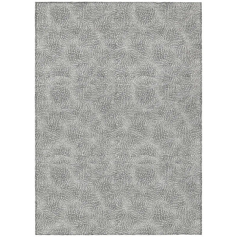 Machine Washable Indoor/Outdoor Chayden ACN1058 White Rug
