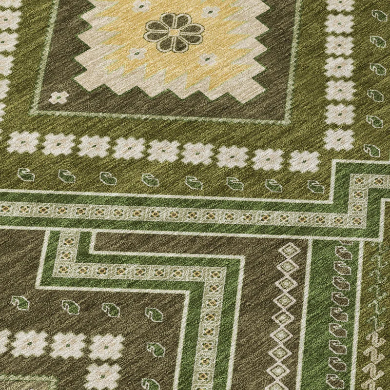 Machine Washable Indoor/Outdoor Chayden ACN1010 Rug