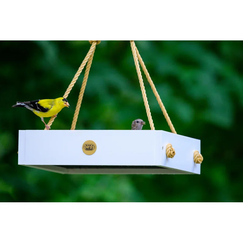 Birds Choice Birds Choice Modern Farmhouse Small Hanging Platform Bird Feeder
