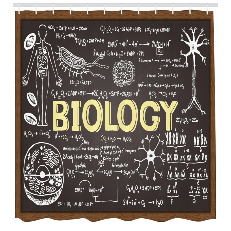 Ambesonne Shower Curtain with Hooks Included