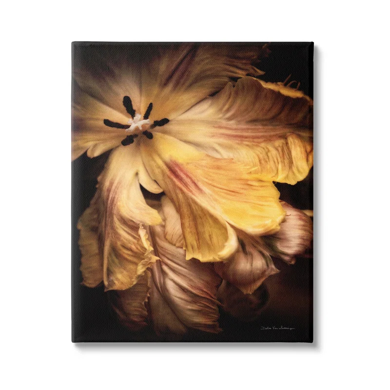 Stupell Industries " Modern Hibiscus Photography " by Debra Van Swearingen