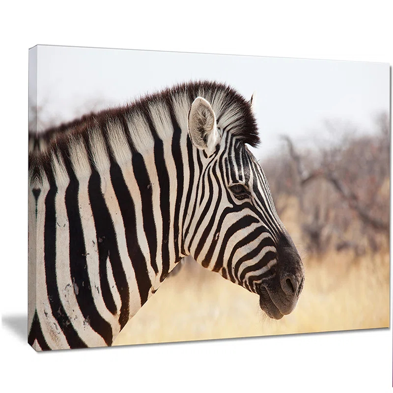 Design Art " Beautiful Zebra In Forest "