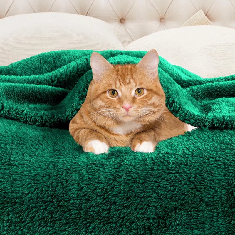 Superior Solid Polyester Reversible All-Season Fleece Throws Blanket
