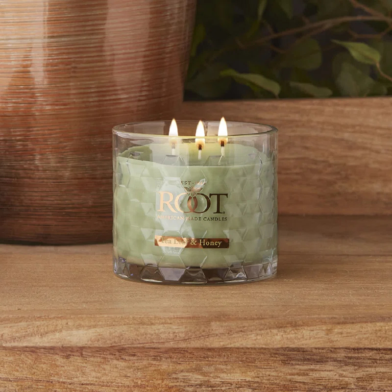 Root Candles Tea Leaf and Honey Scented Jar Candle | Wayfair