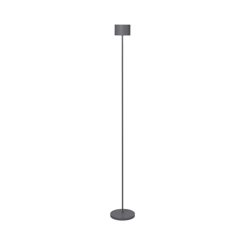 FAROL 45.28'' Mobile Rechargeable LED Floor Lamp