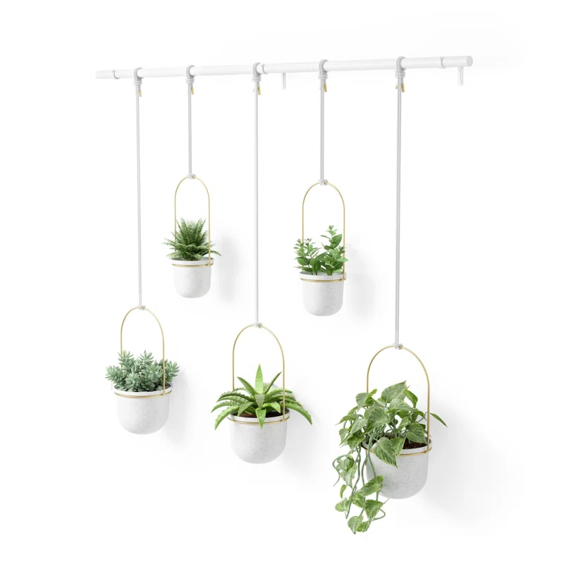 Umbra Hanging Planter