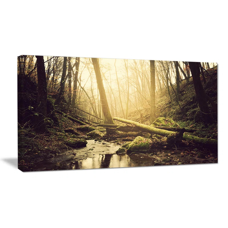 Design Art " Stream In The Dark Wild Forest "