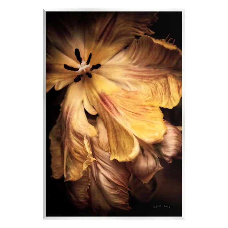 Stupell Industries " Modern Hibiscus Photography " by Debra Van Swearingen