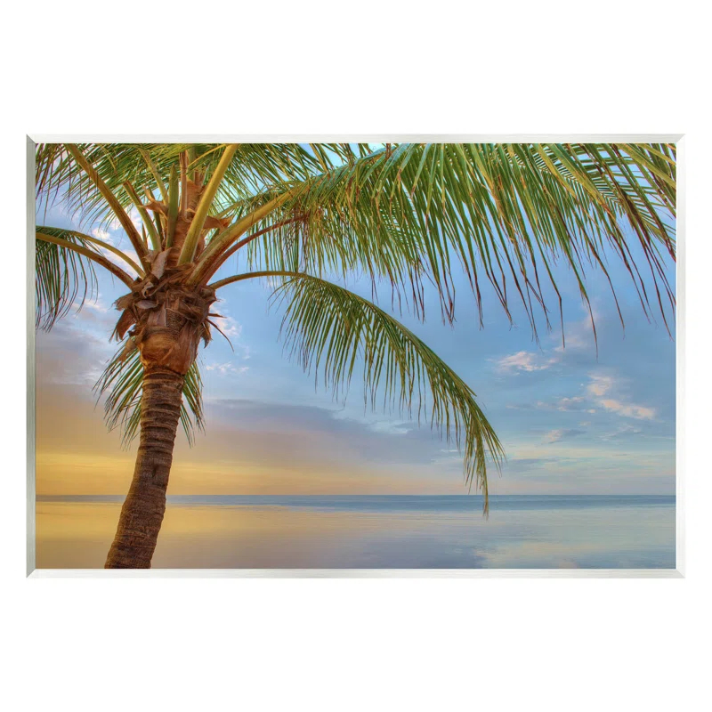 Stupell Industries " Sunrise Palm Tree Sky Reflection " by Jack Reed