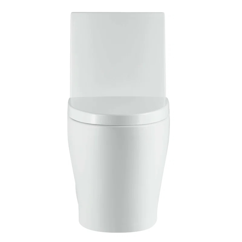 Dual-Flush Elongated One-Piece Toilet with High Efficiency Flush