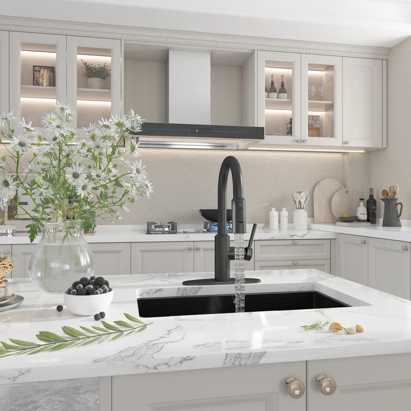 Boyel Living BL-APS244-MB Boyel Living Kitchen Faucet