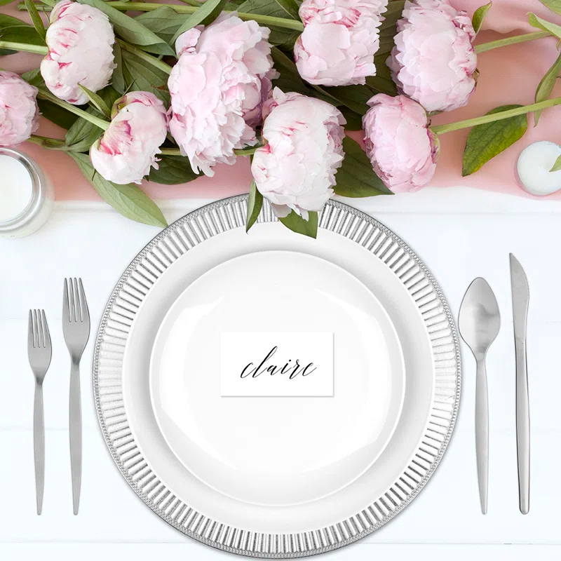 Koyal Wholesale No Pattern Charger