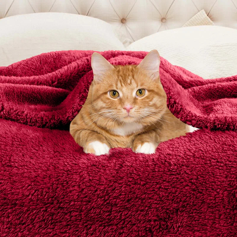Superior Superior Solid Polyester Reversible All-Season Fleece Throws Blanket