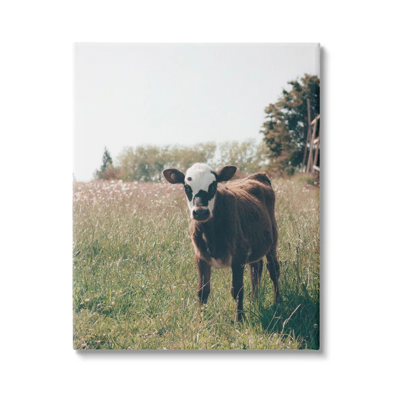 Stupell Industries Au-902-Canvas " Cow Calf Rural Farm Meadow " by Krista Broadway