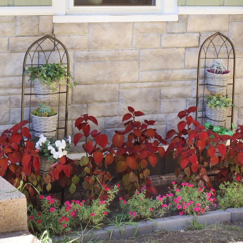 Avonlee Steel Arched Trellis (Set of 2)