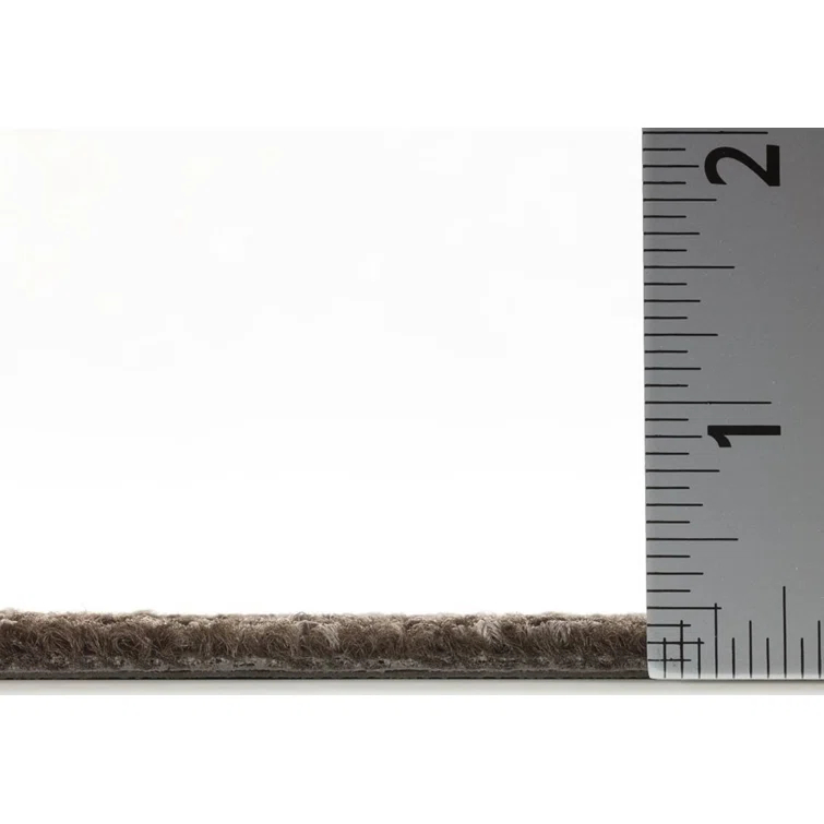 Shaw Apollo 24-in x 24-in Multi-Level Loop Adhesive Carpet Tile (48-sq ft)