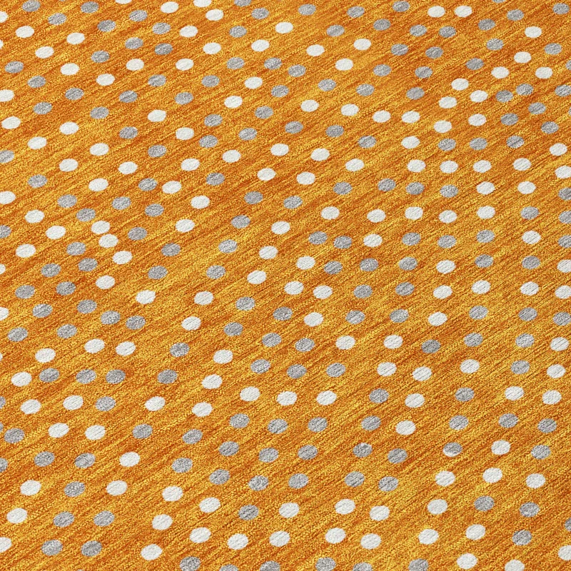 Machine Washable Indoor/Outdoor Chayden ACN1021 Orange 9' x 12' Rug