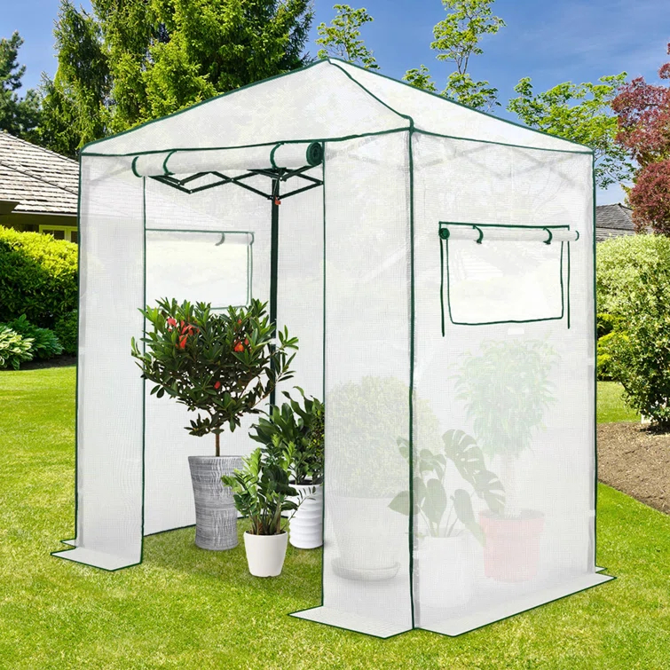 EAGLE PEAK Pop Up Greenhouses 6 ft x 4 ft Greenhouse