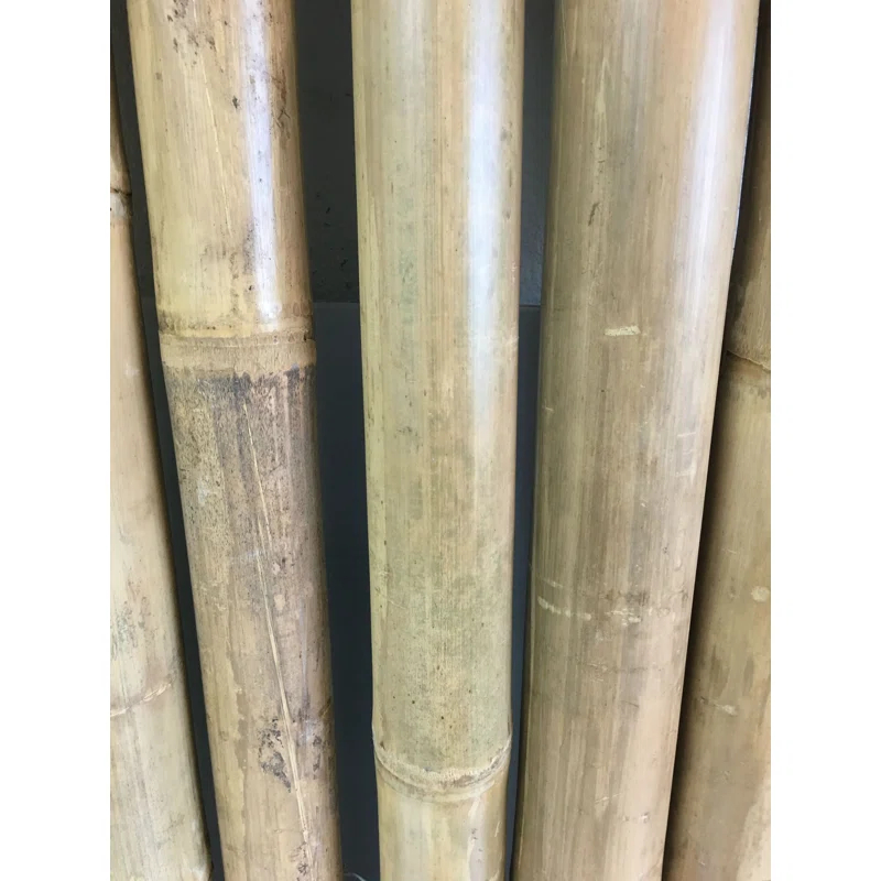 MGP XL 2.5 inches Bamboo Pole Fencing