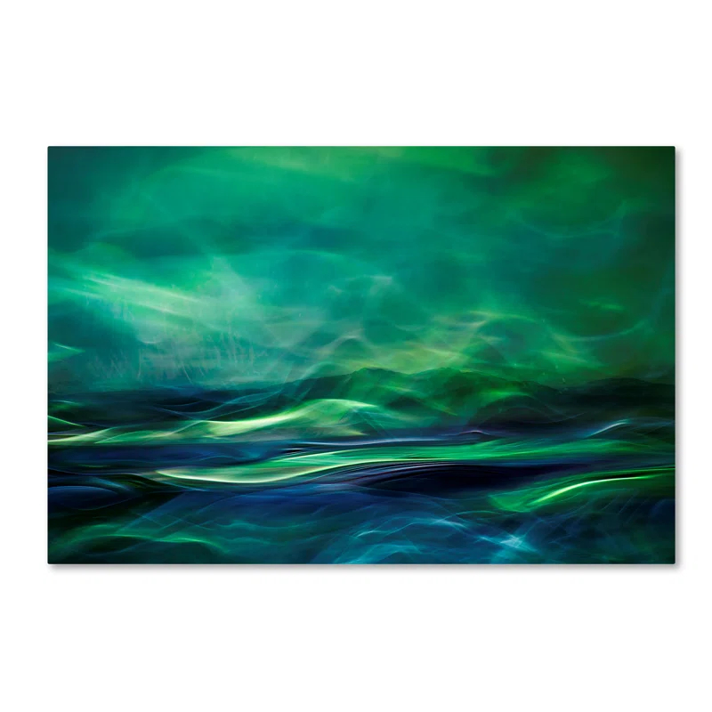 Trademark Fine Art " Northern Lights " by Willy Marthinussen