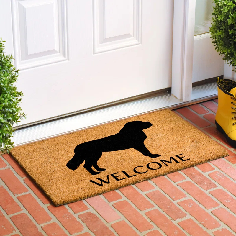 Red Barrel Studio® Non-Slip Indoor Doormat