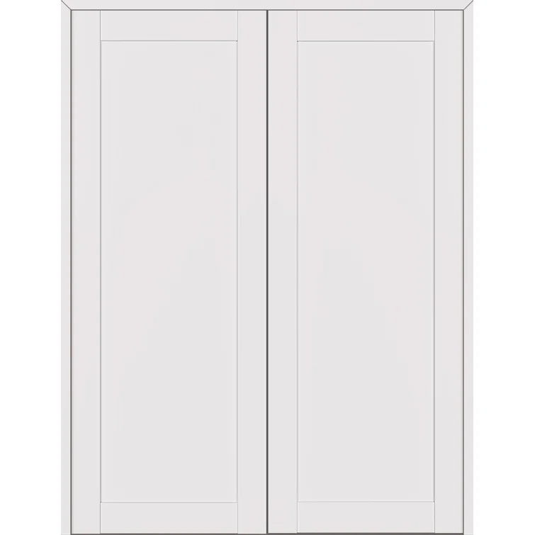 Belldinni 1 Panel Shaker Manufactured Wood Paneled Double Swing Interior Door