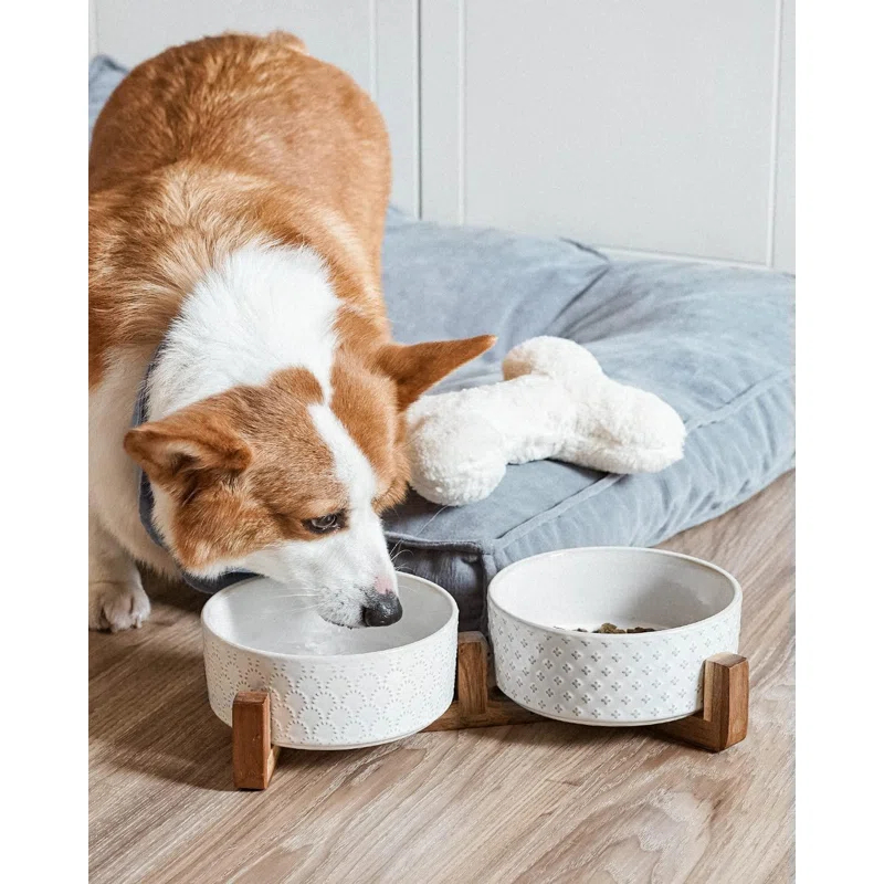 7 Inches Dog Food and Water Bowl
