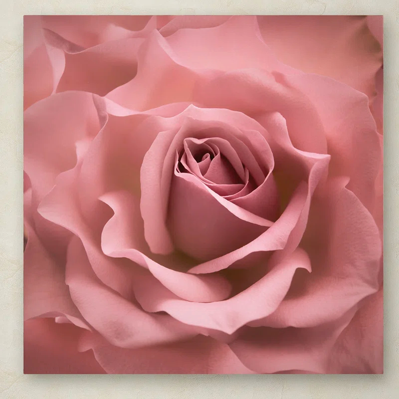House of Hampton® " Misty Rose Pink Rose " by Cora Niele