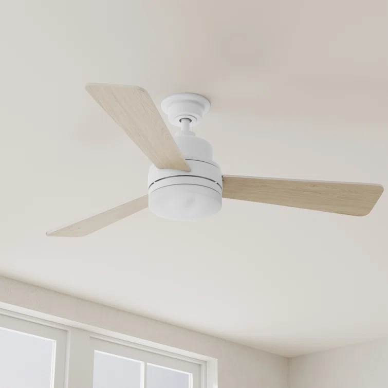 Hokku Designs Bailey-Rae 52'' Ceiling Fan with LED Lights