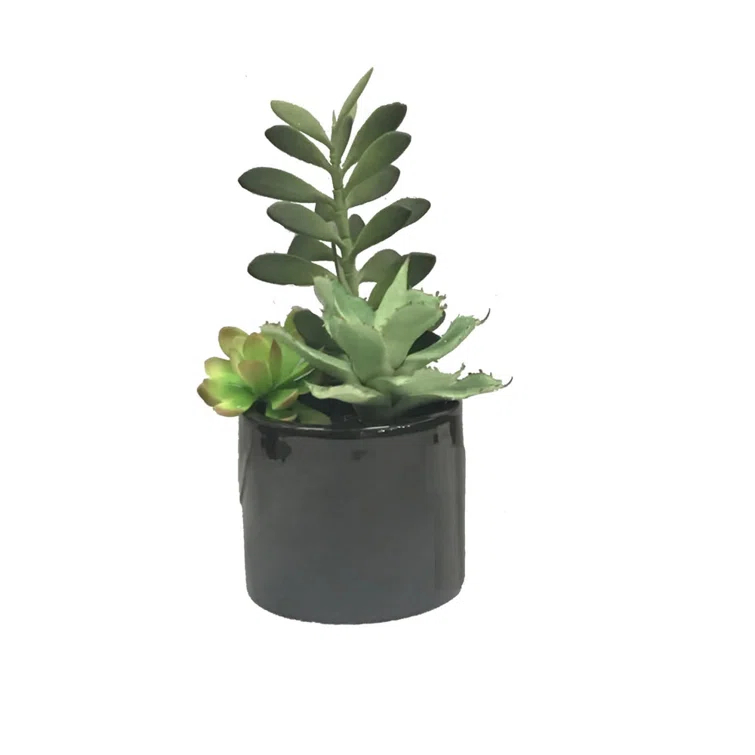 Union Rustic 9'' Faux Succulent in Cement Pot