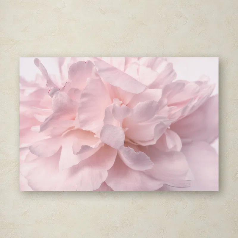 House of Hampton® " Pink Peony Petals II " by Cora Niele