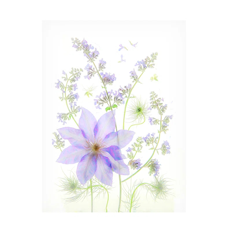 Trademark Fine Art " Purple Clematis "